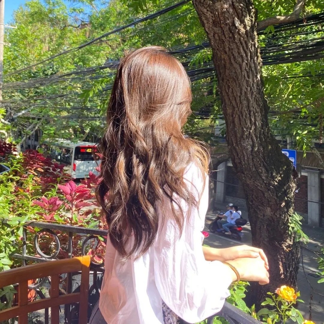 黑蜥蜴