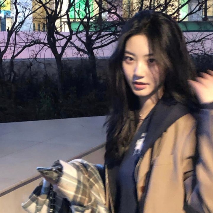 鹬